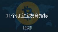 11个月宝宝发育指标